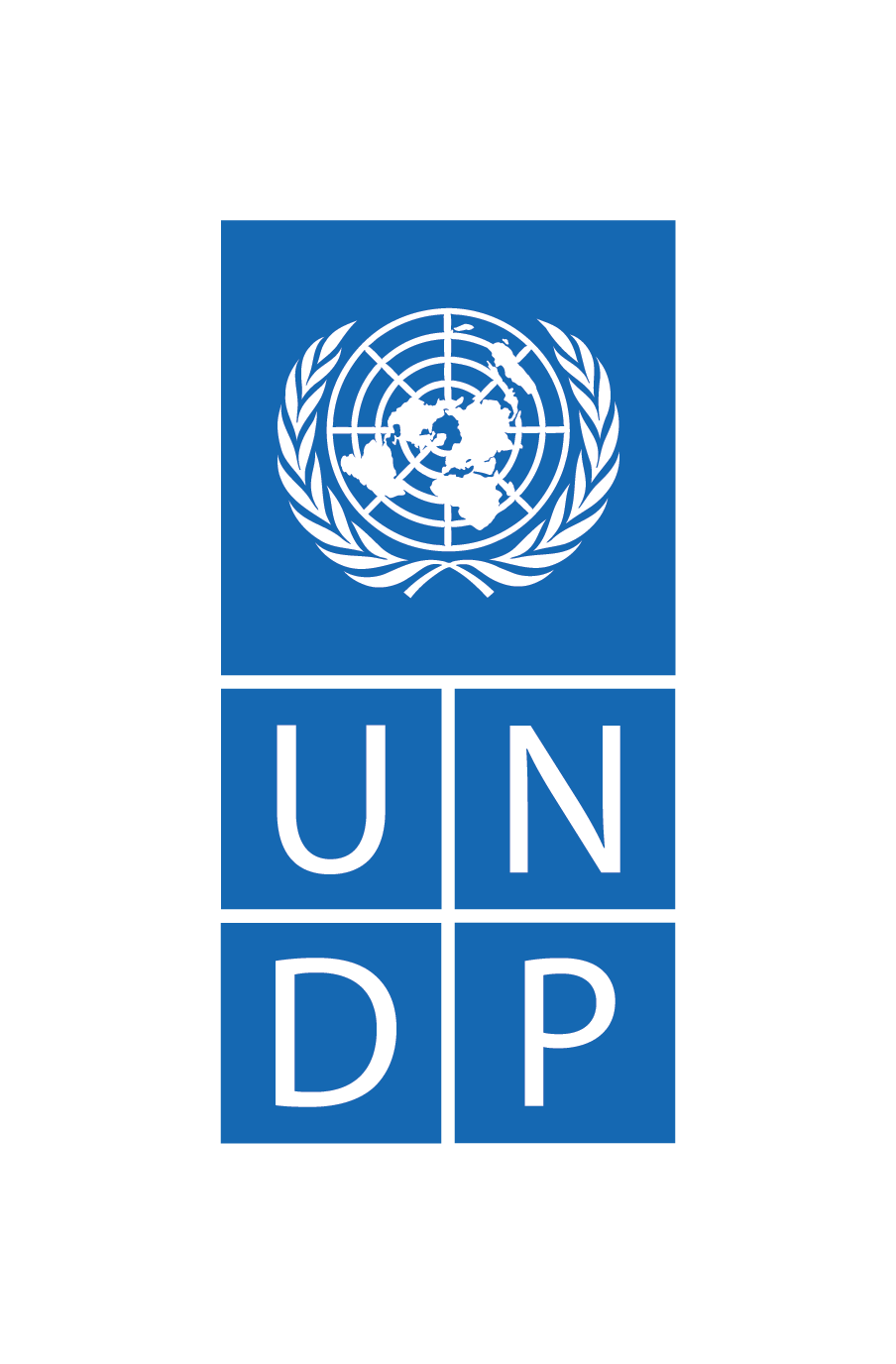 UNDP Bosnia and Herzegovina